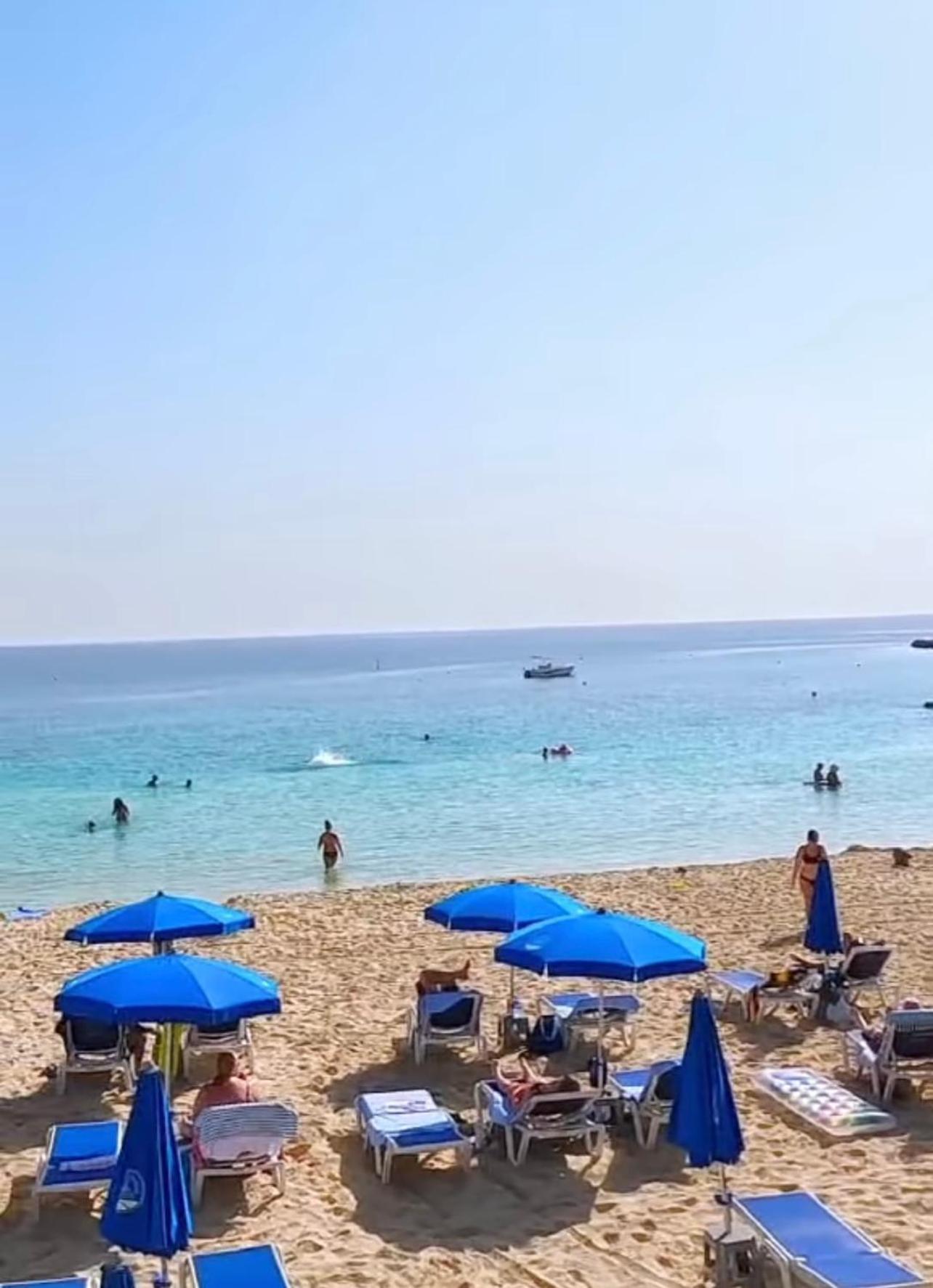 Nissi Elena -Sunshine Apt Ayia Napa Luaran gambar